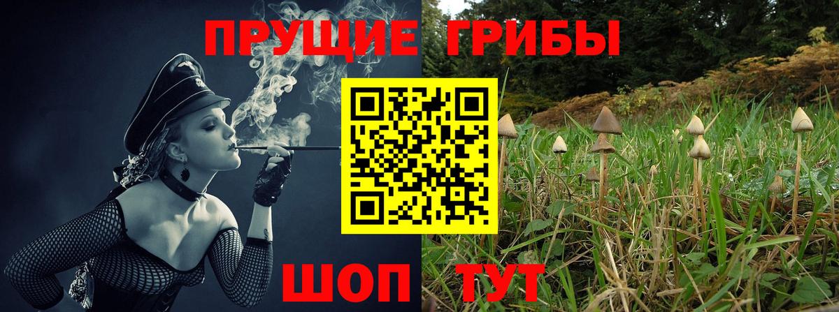 Самара  Псилоцибиновые грибы Magic Shrooms  Вход с VPN 